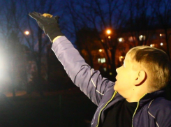 Это фиаско: Краснодарцы сорвали первый вылет летучих мышей