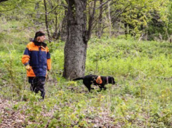 Полиция в Адыгее ищет потерявшегося в горах мужчину