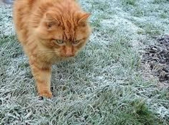 «Осторожно, заморозки!»: На Кубани в ближайшие дни будет холоднее, чем обычно 