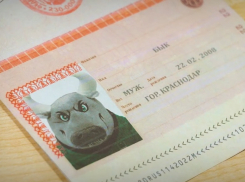 Исполнилось 14 лет: символу ФК «Краснодар» вручили паспорт