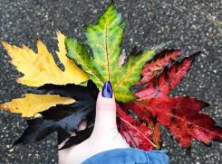 На Кубани пройдут последние осенние дожди