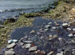  Содержимое септика слили в Черное море под Новороссийском 