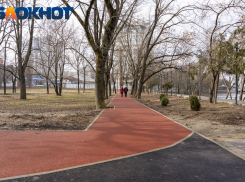 «Новые люди» с краснодарцами потребовали «прозрачного» развития парков