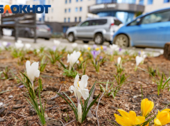 Мир! Труд! Апрель: народные приметы для садоводов и огородников Краснодарского края