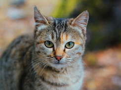 Еще один ясный день ждет Краснодар