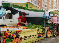 Купить продукты по доступной цене: в Краснодаре с 8 октября откроются ярмарки выходного дня
