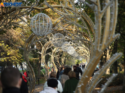 Ноябрь продолжает удивлять аномальным теплом на Кубани