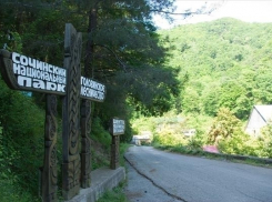 Своего кандидата в руководители нацпарка Сочи предложило Общество охраны природы