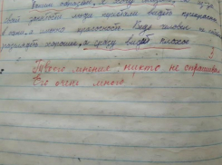 «Твоего мнения никто не спрашивал», - педагог из Ейска снизила оценку ученику за сочинение