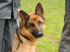 В Краснодаре «заминировали» детскую поликлинику