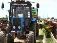 Краснодарский филиал РСХБ профинансировал ООО Агрофирма «Приволье»