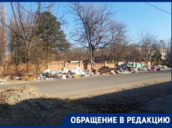 Стаи бродячих собак около разрастающейся свалки пугают жителей Краснодара