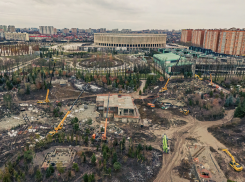 Появилось видео загадочного японского сада в парке Галицкого