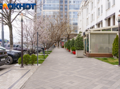 Мэрия Краснодара изменит облик кафе, туалетов, магазинов и остановок: показываем в картинках