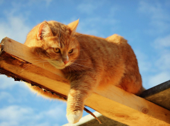 В отдельных районах Кубани во вторник потеплеет до 14 градусов