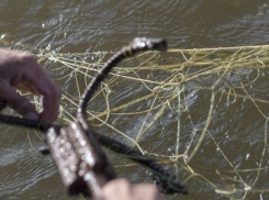 Пойманный на Кубани браконьер оказался сотрудником администрации