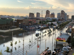  Довести до ума микрорайон, который строился без ума, - невозможно: вице-губернатор Кубани о Музыкальном микрорайоне 