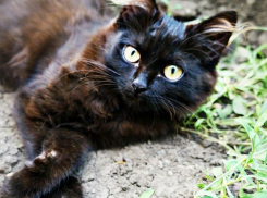 В Краснодарском крае похолодает до +4 градусов