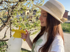 Опасные симптомы болезней и вредителей в весеннем саду