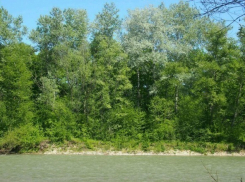 На Кубани после двух дней поисков нашли тело утонувшей девочки