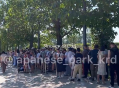 Краснодарцы и туристы выстроились в гигантскую очередь ради Японского сада