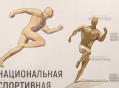 Кубань оказалась на вершине спортивного Олимпа России