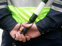  В Павловском районе злоумышленники украли 120 килограммов подсолнечника 