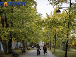 В Краснодаре назвали главные новости 12 марта