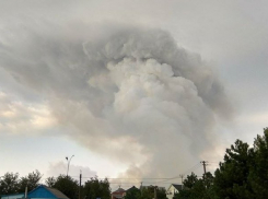  В полях под Темрюком вспыхнул мощный пожар 