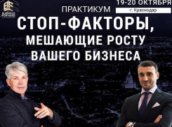 Что делать, если «бизнес не идет», расскажут в Краснодаре профессионалы