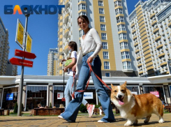 На Кубань после морозов надвигается аномальное тепло