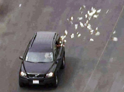 В Краснодаре из окна автомобиля выкинули 2,5 миллиона рублей