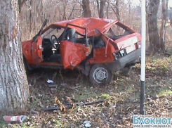 В Гулькевичах трое пострадали из-за наезда на дерево