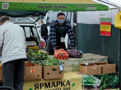 В Краснодаре открылись 17 ярмарок выходного дня 