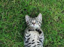 В Краснодарском крае наступила погодная стабильность 