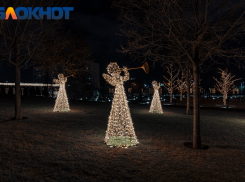 Близнецам грозят ссоры, а Овнам отравления: гороскоп на последнюю неделю декабря