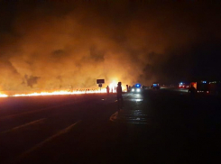 Крупный пожар под Анапой тушили более 10 часов 