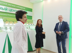 Научно-исследовательский институт риса в Краснодаре применяет лучшие практики социального партнерства 