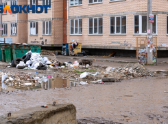 В Западном округе Краснодара планируют ликвидировать стихийные свалки в 2024 году 