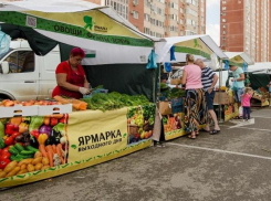 В Краснодаре откроются ярмарки выходного дня с 12 марта