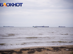 Сельхозземли в Краснодарском крае отдали под размещение терминала по перевалке аммиака