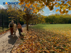 В Краснодаре синоптики обещают туман и +13 градусов 