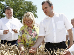 Губернатор Кубани потребовал сократить количество проверок для предпринимателей