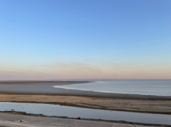 Экологи оценили воду в Краснодарском водохранилище 