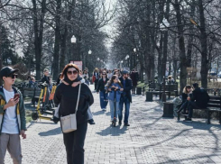 Бухгалтеры против водителей: в каких профессиях краснодарцы больше доверяют мужчинам, а в каких — женщинам