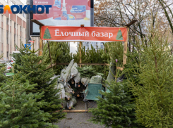 В Краснодаре 15 декабря откроют 25 ёлочных базаров