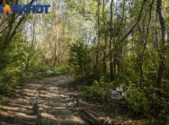 В Краснодарском крае 13 октября снимут запрет на лесные прогулки