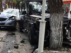 «Крутой Гелендваген» врезался в дерево из-за нежелания уступать дорогу в Геленджике