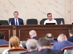Многодетным семьям Кубани упростили выдачу земельных участков
