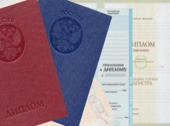 В Сочи заблокировали сайты, продававшие фальшивые дипломы